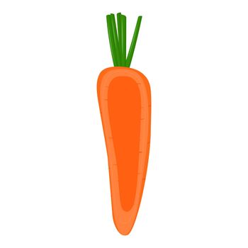 Half of carrot isolated on background. Flat vector illustration
