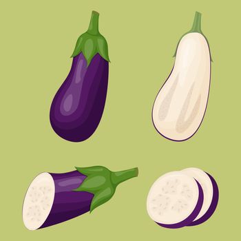 Set of eggplants isolated on white background. Flat vector illustration
