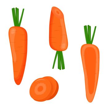 Set of carrots isolated on white background. Flat vector illustration