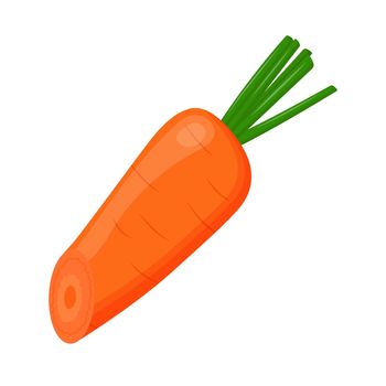 Half of carrot isolated on background. Flat vector illustration