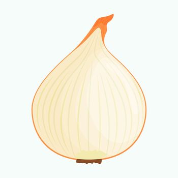 Half of onion isolated on background. Flat vector illustration