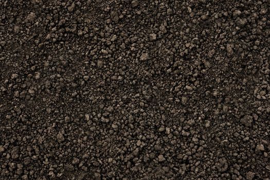 Organic farm soil background top view from above. Background black soil texture ground close up. Ukrainian organic soil ground earth texture dark design. Humus. Agriculture
