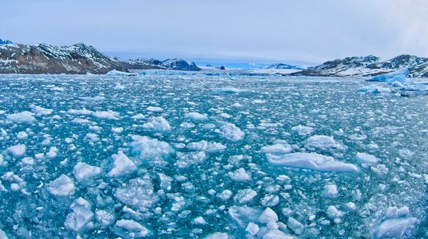 Drift floating Ice, Albert I Land, Norway 