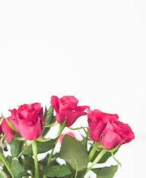 Tender bouquet of pink roses, floral gift and beautiful flowers