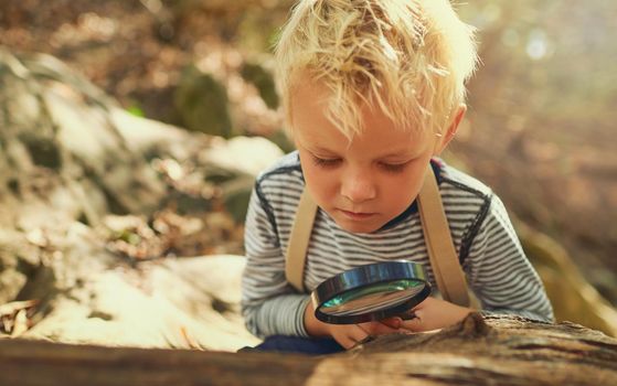 Hes curious about the world. Shot of an inquisitive little boy exploring the woods with a magnifying glass.