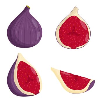 Set of fig isolated on white background. Flat vector illustration