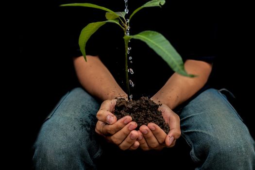 Shot of farmer with a plant in his hand sitting and taking care of mother nature isolated over black background. Plant saving hands over black background.