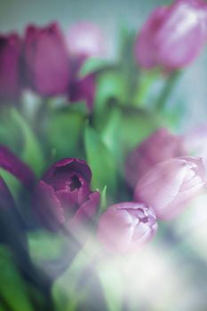 Purple tulip bouquet