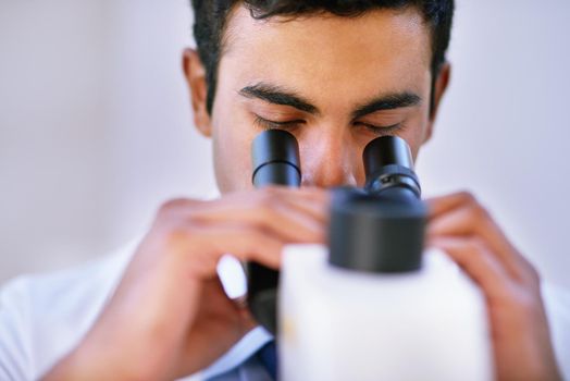 Working hard to find results. a lab technician using a microscope while sitting in a lab.