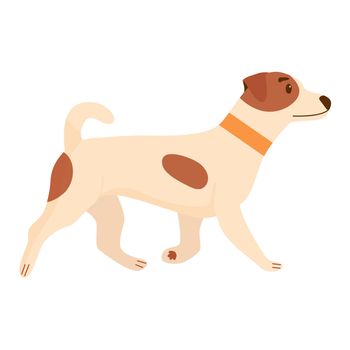 Cute dog. Domestic, funny dog isolated on white background. Flat vector illustration