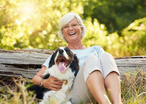 Some angels have fur instead of wings. Portrait of a happy senior woman relaxing in a park with her dog.