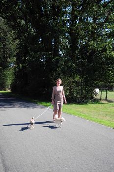 young caucasian girl walks with two dogs on the road among tall trees in summer