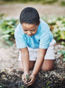 Getting a green start in life. a little boy gardening outdoors.