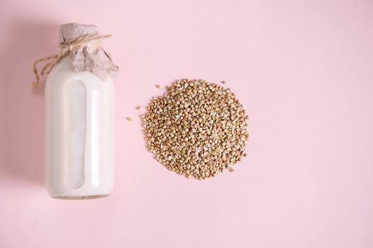 Flat lay of a vegan green buckwheat milk in bottle, plant based milk replacer and grains of buckwheat on pink background