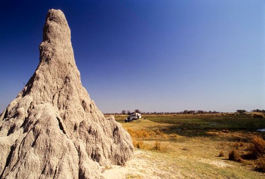 termite mound, Botswana