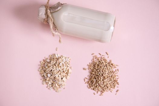 Flat lay Heap of oat groats, oat-flakes and bottle of plant based organic healthy vegan wholesome milk on pink surface.