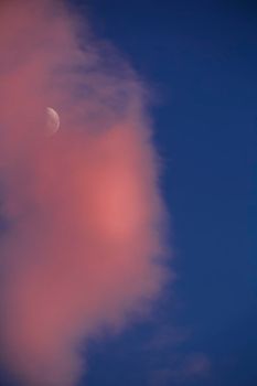 Beautiful crescent moon between pink clouds