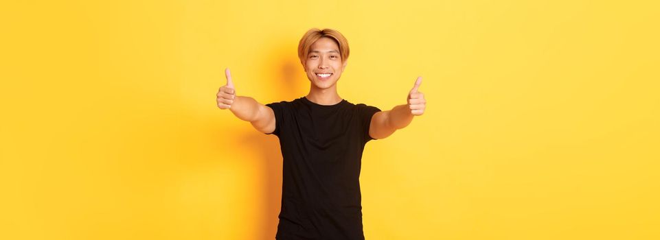 Portrait of assured handsome asian man showing thumbs-up in approval, like idea, standing yellow background