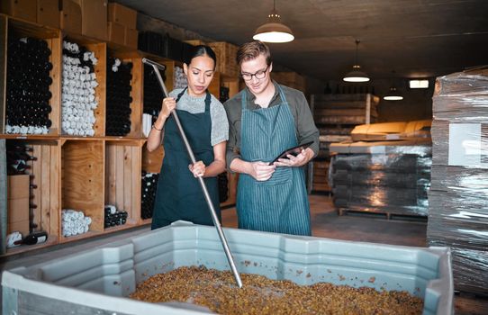 Agriculture, wine and vineyard workers in the alcohol business, press grapes in distillery plant. Sustainability, nature and growth employee with checklist on quality in drink manufacturing industry