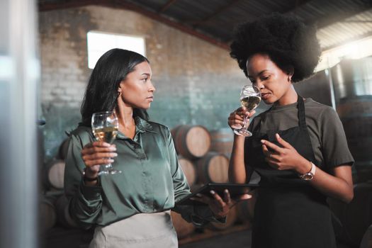Friends, wine tasting or countryside wine farm with alcohol smell in drink glass on environment sustainability distillery. Woman learning agriculture industry with working vineyard restaurant people
