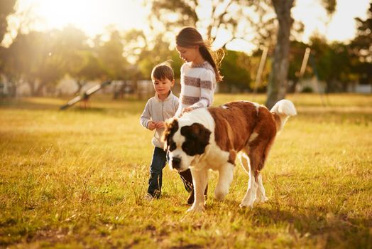 Looking for adventure together. two cute little siblings walking through a park with their dog.
