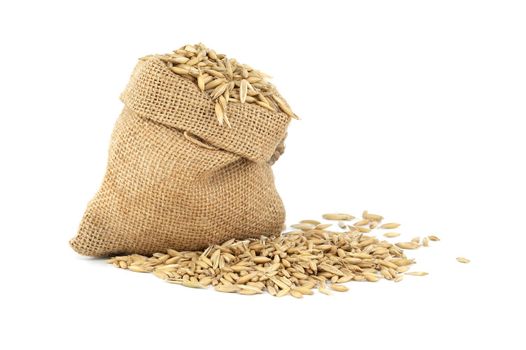 Whole oats grains with husk in burlap bag on white