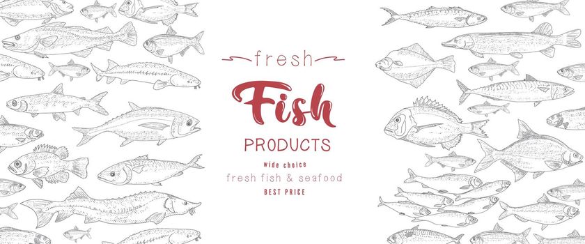 The cover template of the booklet of fish products and seafood.
