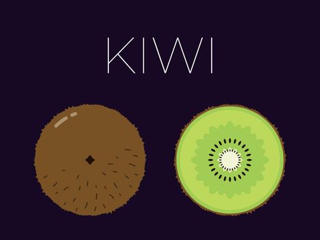 Vector of kiwi and sliced half of kiwi on dark background