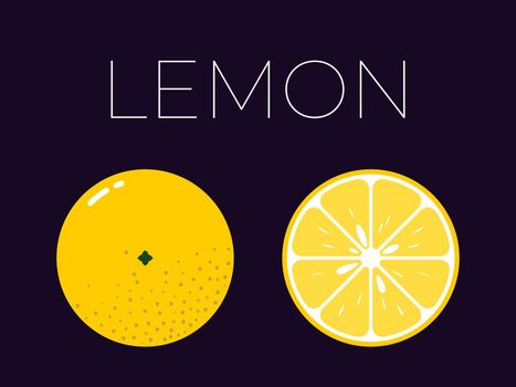Vector of lemon and sliced half of lemon on dark background
