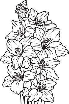 Gladioli Flower Coloring Page for Adults