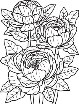 Peonies Flower Coloring Page for Adults