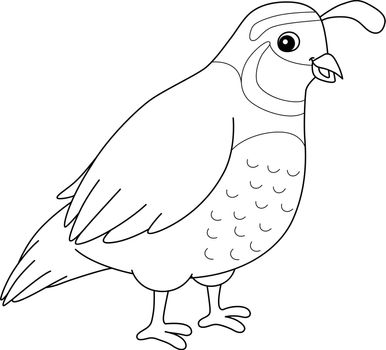 Quail Animal Coloring Page for Kids
