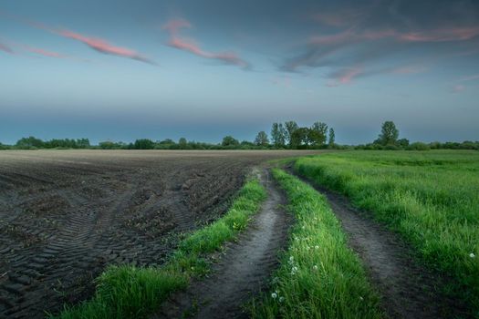A dirt road between a green meadow and a plowed field