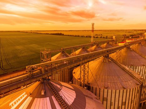 Grain elevator. Metal grain elevator in agricultural zone. Agriculture storage for harvest. Grain silos on green nature background. Exterior of agricultural factory. Sunset warm light. Nobody.