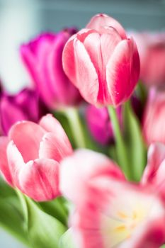 Bouquet of beautiful tulips, floral background