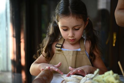 Close-up charming child girl with two ponytails, in beige chef's apron, molding dumplings, cooking vareniki with her mom
