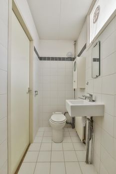 Small flush toilet and shower in bathroom