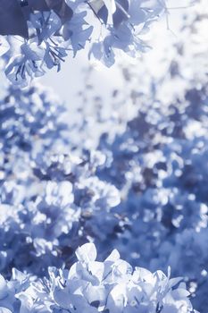 Blue floral composition