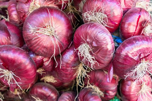 fruits of red onion in close-up as a background