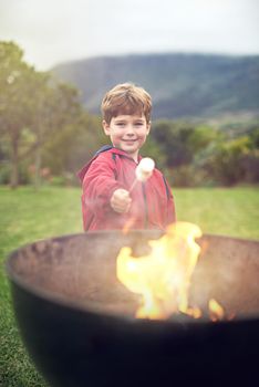 Roasted marshmallows are the best. Portrait of a little boy roasting a marshmallow over a fire.