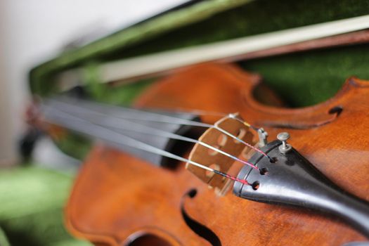 the violin a stringed professional musical instrument