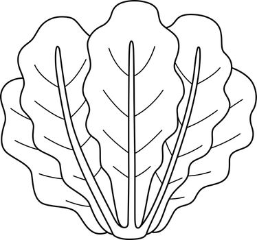 Romaine Lettuce Vegetable Isolated Coloring Page