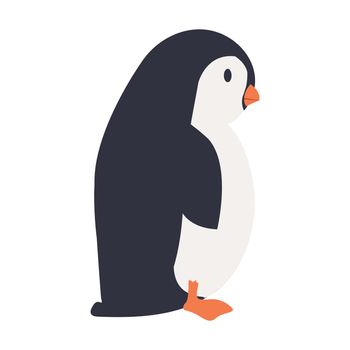 Penguin bird fat cartoon vector