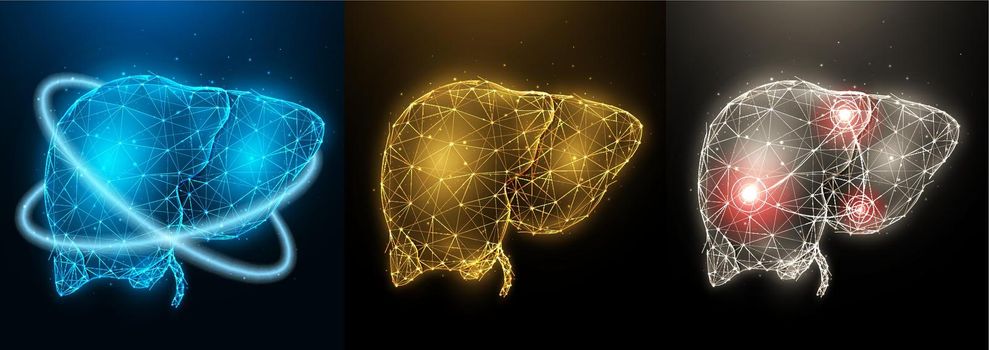 Polygonal vector illustration of inflamed diseased human liver, healthy liver and recovery of liver functions. Internal organ low poly design. Medical banner, template or background.