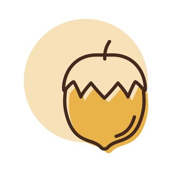 Hazelnut isolated design vector icon. Fruit sign