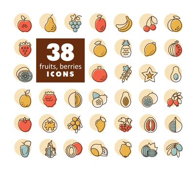 Set of Fruits and Berries vector isolated icons