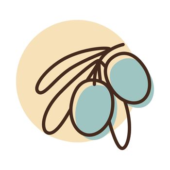 Olive branch, leaves and olives vector icon