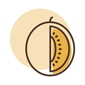 Melon vector isolated icon. Graph symbol for food and drinks web site, apps design, mobile apps and print media, logo, UI