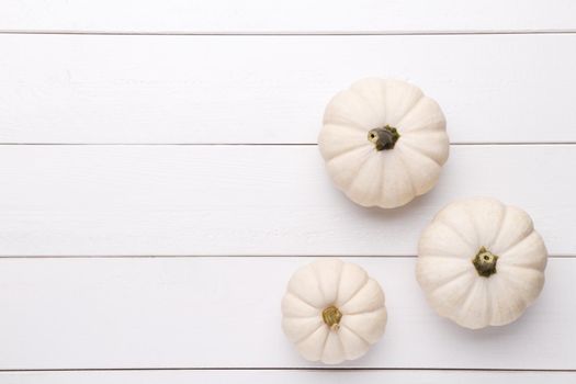 White decorative pumpkins 