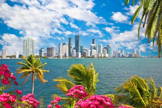 Miami waterfront skyline through palms and flowers view